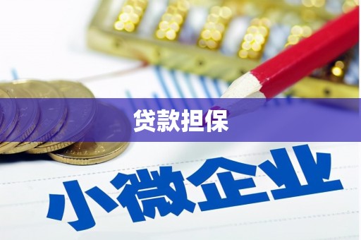 泰山贷款担保