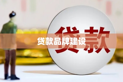 泰山贷款品牌建设