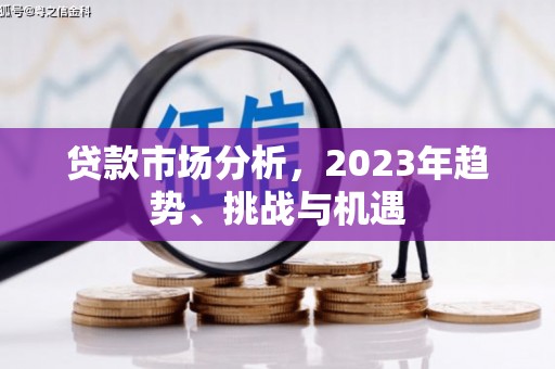泰山贷款市场分析，2023年趋势、挑战与机遇