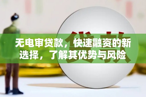 泰山无电审贷款，快速融资的新选择，了解其优势与风险