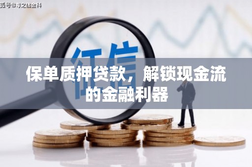 泰山保单质押贷款，解锁现金流的金融利器