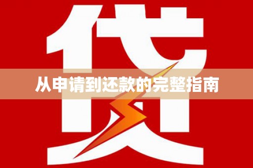 泰山从申请到还款的完整指南