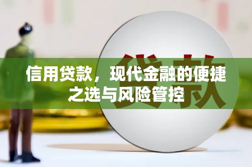 泰山信用贷款，现代金融的便捷之选与风险管控