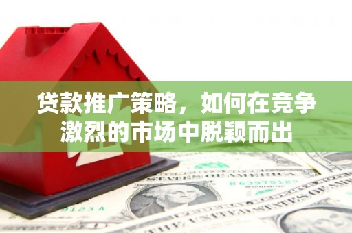 泰山贷款推广策略，如何在竞争激烈的市场中脱颖而出