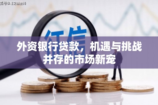 泰山外资银行贷款，机遇与挑战并存的市场新宠