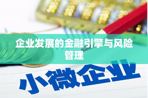泰山企业发展的金融引擎与风险管理