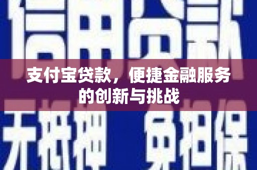 泰山支付宝贷款，便捷金融服务的创新与挑战