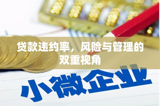 泰山贷款违约率，风险与管理的双重视角
