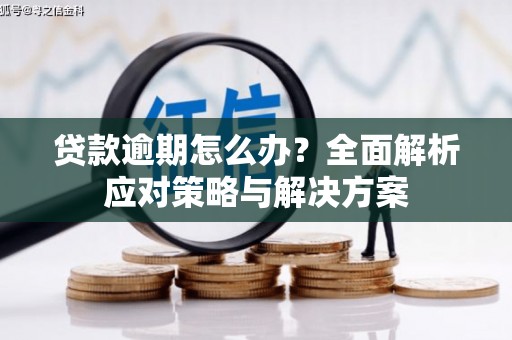 泰山贷款逾期怎么办？全面解析应对策略与解决方案