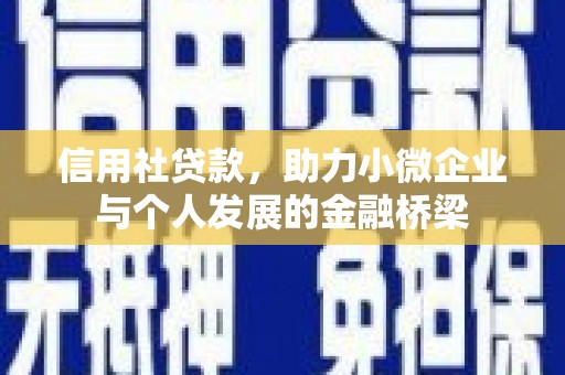 泰山信用社贷款，助力小微企业与个人发展的金融桥梁