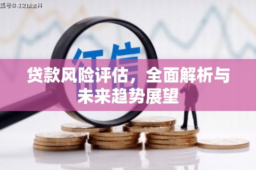 泰山贷款风险评估，全面解析与未来趋势展望