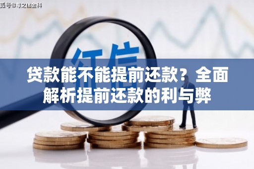 泰山贷款能不能提前还款？全面解析提前还款的利与弊