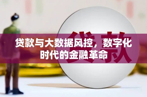 泰山贷款与大数据风控，数字化时代的金融革命