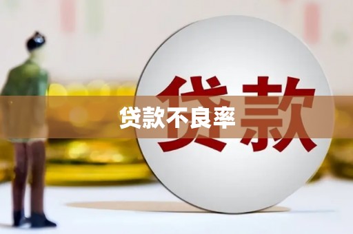 泰山贷款不良率