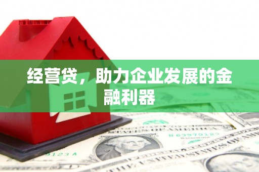 泰山经营贷，助力企业发展的金融利器