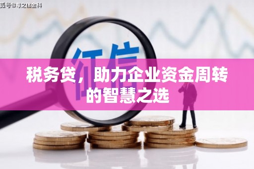 泰山税务贷，助力企业资金周转的智慧之选