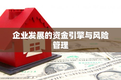 泰山企业发展的资金引擎与风险管理