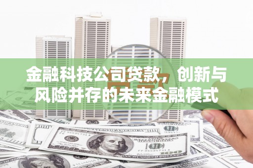 泰山金融科技公司贷款，创新与风险并存的未来金融模式