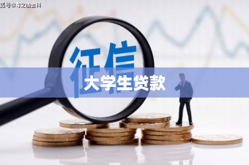泰山大学生贷款