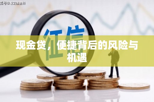 泰山现金贷，便捷背后的风险与机遇