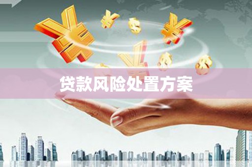 泰山贷款风险处置方案