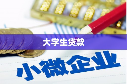 泰山大学生贷款