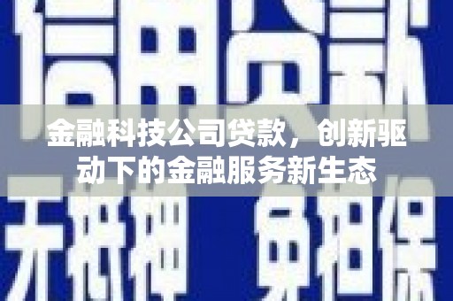 泰山金融科技公司贷款，创新驱动下的金融服务新生态