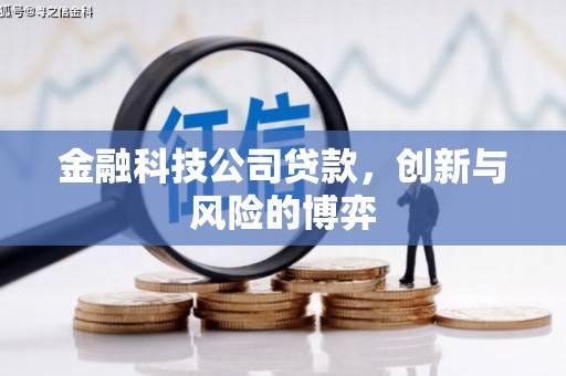 泰山金融科技公司贷款，创新与风险的博弈
