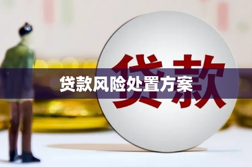 泰山贷款风险处置方案