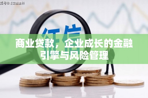 泰山商业贷款，企业成长的金融引擎与风险管理