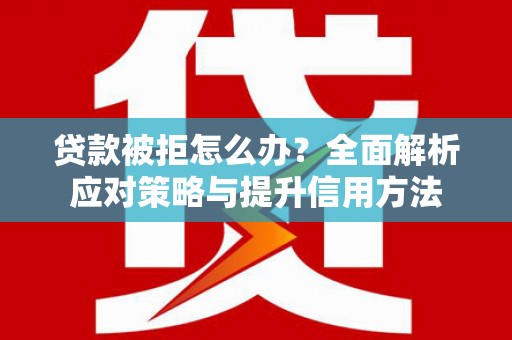 泰山贷款被拒怎么办？全面解析应对策略与提升信用方法