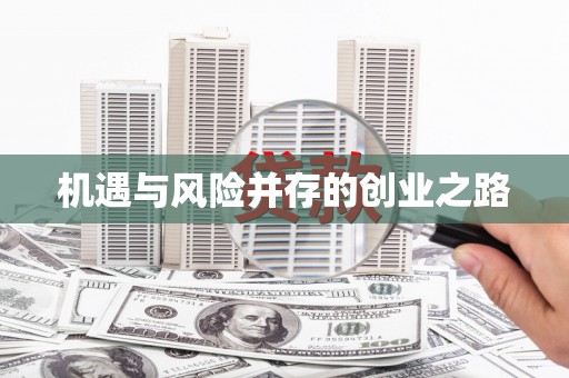 泰山机遇与风险并存的创业之路