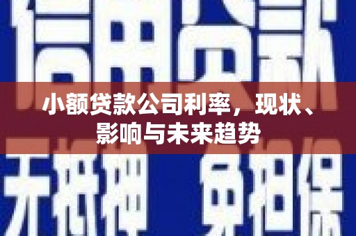 泰山小额贷款公司利率，现状、影响与未来趋势
