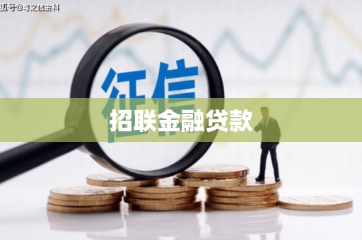 泰山招联金融贷款