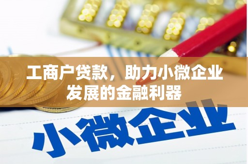 泰山工商户贷款，助力小微企业发展的金融利器