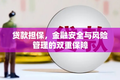 泰山贷款担保，金融安全与风险管理的双重保障
