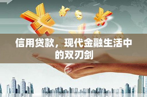 泰山信用贷款，现代金融生活中的双刃剑
