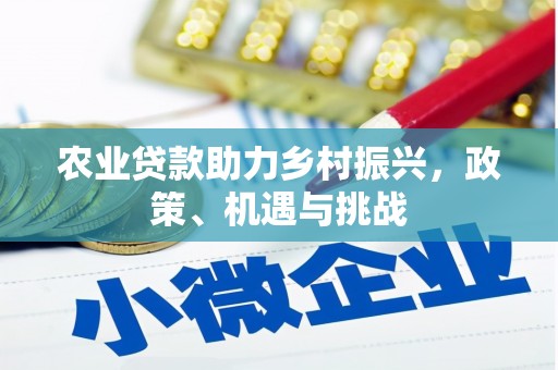 泰山农业贷款助力乡村振兴，政策、机遇与挑战