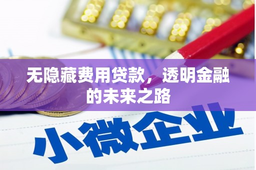 泰山无隐藏费用贷款，透明金融的未来之路