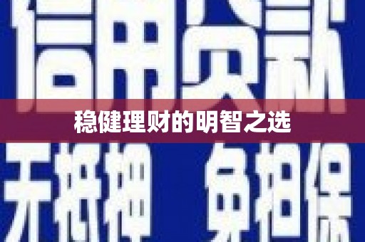 泰山稳健理财的明智之选