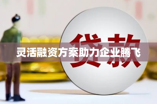 泰山灵活融资方案助力企业腾飞