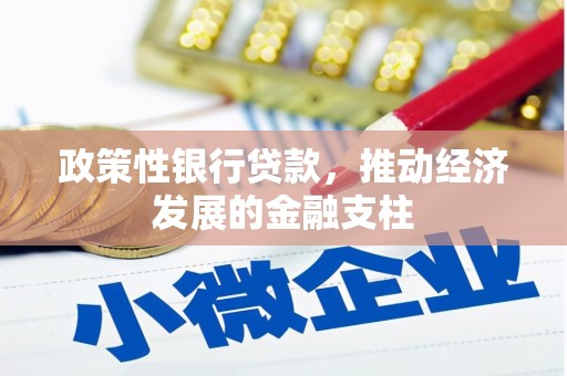 泰山政策性银行贷款，推动经济发展的金融支柱