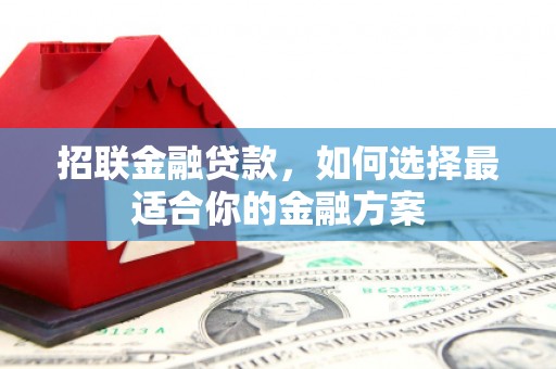 泰山招联金融贷款，如何选择最适合你的金融方案