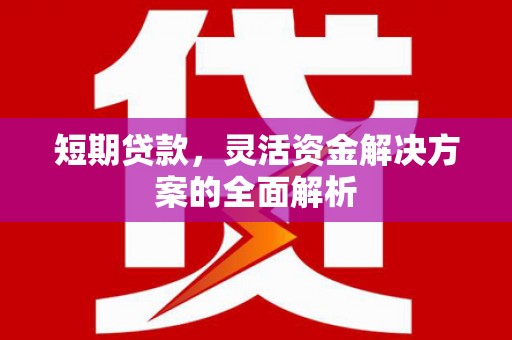 泰山短期贷款，灵活资金解决方案的全面解析