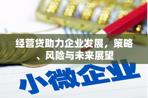 泰山经营贷助力企业发展，策略、风险与未来展望