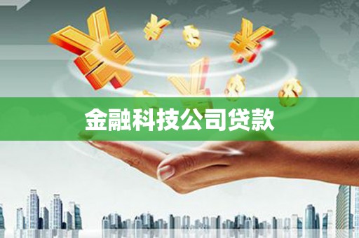 泰山金融科技公司贷款
