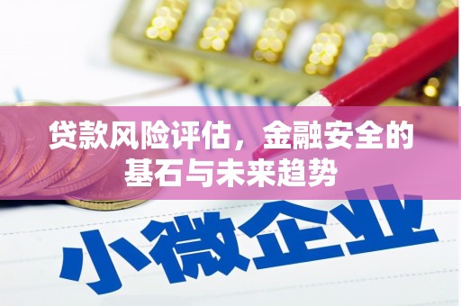 泰山贷款风险评估，金融安全的基石与未来趋势