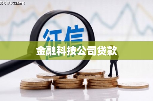 泰山金融科技公司贷款