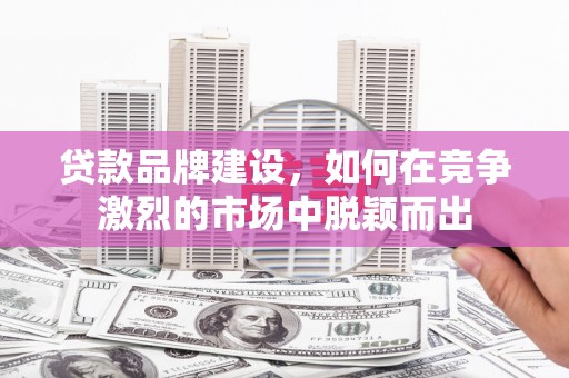 泰山贷款品牌建设，如何在竞争激烈的市场中脱颖而出