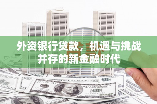泰山外资银行贷款，机遇与挑战并存的新金融时代